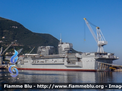 Nave L9890 "Trieste"
Marina Militare Italiana
Unità Anfibia Multiruolo
Classe Trieste
