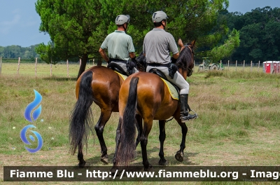 Pattuglia a cavallo
Corpo Forestale dello Stato
Parole chiave: AgesciRouteNazionale2014