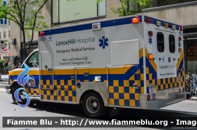 Chevrolet Express
United States of America - Stati Uniti d'America
Lenox Hill Hospital New York
FDNY EMS Participating Member 911 Ambulance
Parole chiave: Chevrolet Express