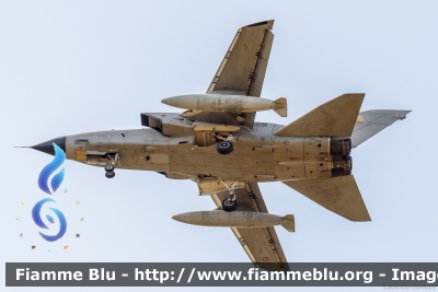 Panavia Tornado IDS
Aeronautica Militare Italiana
6° Stormo
6-15
Parole chiave: Panavia Tornado_IDS