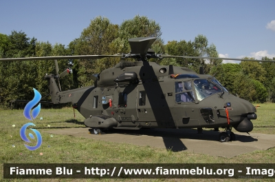 NHI NH-90 TTH
Esercito Italiano
Aviazione dell'Esercito
EI 224
Parole chiave: NHI NH-90_TTH HEMS_2013