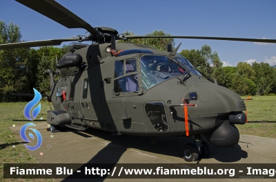 NHI NH-90 TTH
Esercito Italiano
Aviazione dell'Esercito
EI 224
Parole chiave: NHI NH-90_TTH HEMS_2013