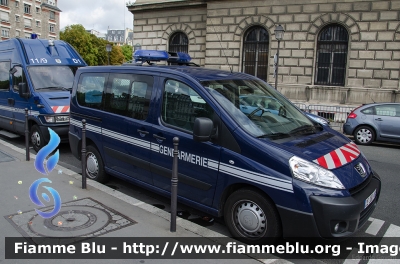 Peugeot Expert II serie 
France - Francia
Gendarmerie
Parole chiave: Peugeot Expert_IIserie