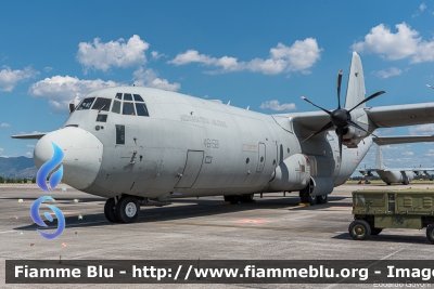 Lockheed C-130J Hercules
Aeronautica Militare Italiana
46° Brigata Aerea
46-58
Parole chiave: Lockheed C-130J_Hercules