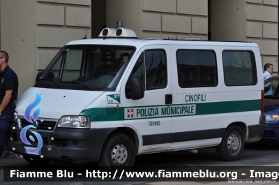 Fiat Ducato III serie
Polizia Municipale Torino
Cinofili
Parole chiave: Fiat Ducato_IIIserie