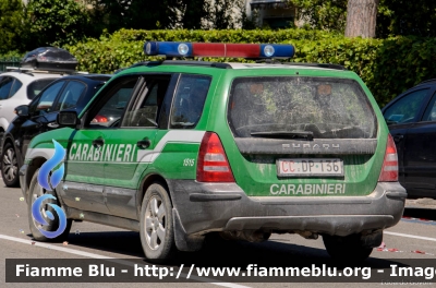 Subaru Forester III serie
Carabinieri
Comando Carabinieri Unità per la tutela Forestale, Ambientale e Agroalimentare
CC DP 136
Parole chiave: Subaru Forester_IIIserie CCDP136 Pisa_AirShow_2017