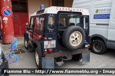 Land Rover Defender 90
Carabinieri
VIII Battaglione "Lazio"
CC AE 206
Parole chiave: Land_Rover Defender_90 CCAE206