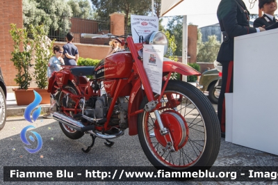 Moto Guzzi 500
Corpo Forestale dello Stato
Veicolo storico
Esposto presso l'Ispettorato Generale di Via XX Settembre
Roma
CFS 180
Parole chiave: Moto_Guzzi 500 CFS180