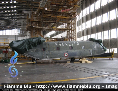 Boeing CH-47 "Chinook"
Esercito Italiano

Parole chiave: boeing ch_47_chinook