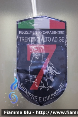 Carabinieri
7° Reggimento "Trentino Alto Adige" Lavies
Parole chiave: Lavies (BZ)