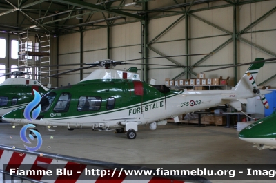 Agusta Westland AW109 Nexus
Corpo Forestale dello Stato
Servizio Aereo
CFS 33
Parole chiave: Agusta_Westland AW109_Nexus roma_drone_show_2015