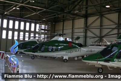Agusta Westland AW109 Nexus
Corpo Forestale dello Stato
Servizio Aereo
CFS 33
CFS 34
CFS 35
Parole chiave: Agusta_Westland AW109_Nexus roma_drone_show_2015