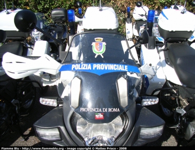 Aprilia Pegaso 650 III serie
Polizia Provinciale Roma
Parole chiave: Aprilia Pegaso_650_IIIserie PP_Roma