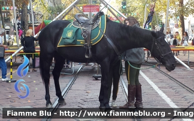 Cavallo
Giacche Verdi Milano
Parole chiave: Lombardia (MI) Protezione_Civile