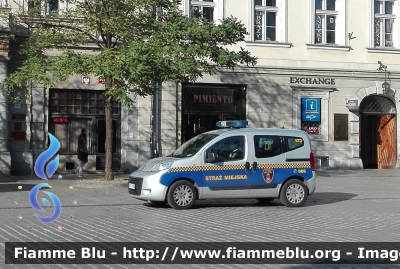Fiat Qubo
Rzeczpospolita Polska - Polonia
Straż Miejska Krakow 
