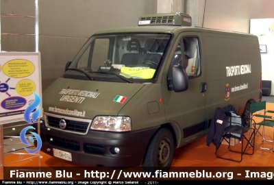 Fiat Ducato III serie
Esercito Italiano
Stabilimento Chimico Farmaceutico Militare Firenze
Trasporto Medicinali
EI CH094
Parole chiave: Fiat Ducato_IIIserie EICH094 Civil_Protect_2011