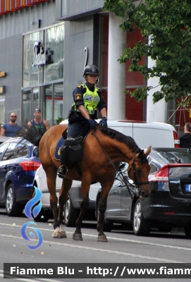 Unità a Cavallo
Sverige - Svezia
 Polis - Polizia Nazionale
