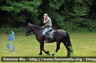Pattuglia a cavallo
Corpo Forestale dello Stato
Parole chiave: Visita_papa_milano_2012