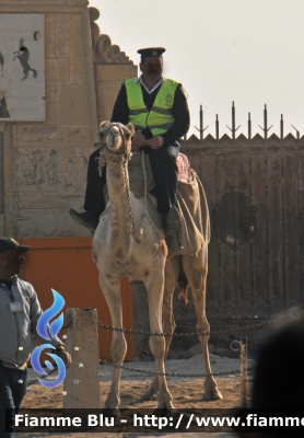 Cammelli
جمهوريّة مصر العربيّة - Egitto
Tourist and Antiquities Police - Polizia Turistica
