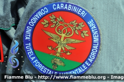 Patch
Arma dei Carabinieri
Comando Carabinieri Unità per la tutela Forestale, Ambientale e Agroalimentare
