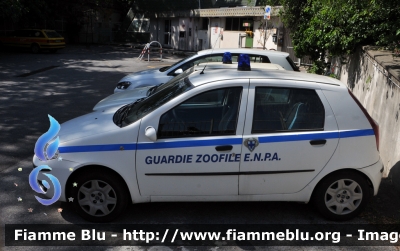 Fiat Punto II serie
Ente Nazionale
 Protezione Animali
Parole chiave: Fiat Punto_IIserie