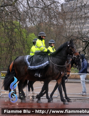 Unità a cavallo
Great Britain - Gran Bretagna
London Metropolitan Police
