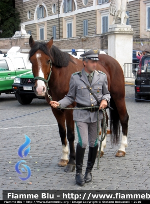 Uniforme servizio a cavallo
Corpo Forestale dello Stato
Servizio a Cavallo
Parole chiave: Festa_188_CFS