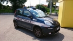 Fiat_Nuova_Panda_PL_Legnago.jpg