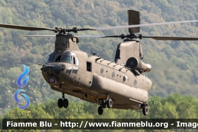 Boeing CH-47F Chinook
Esercito Italiano
1º Reggimento AVES "Antares" - Viterbo
EI 708
MM 81785
*Esercitazione Altius 3*
Parole chiave: Boeing CH-47F Chinook
