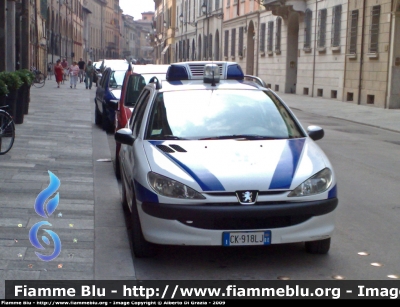 Peugeot 206 Stationwagon
Polizia Municipale Reggio Emilia
Parole chiave: Peugeot 206_Stationwagon PM_ReggioEmilia