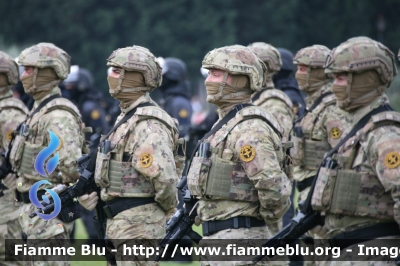 Uniforme GIS
Carabinieri
2° Brigata Mobile
Carabinieri Paracadutisti
Gruppo Intervento Speciale

