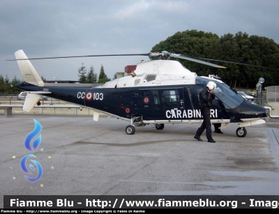 Agusta A109
Carabinieri
Fiamma 103
Parole chiave: A109 Fiamma_103 Elicottero