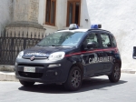 FiatPanda2012_4x4_CarabinieriStazione_2.JPG