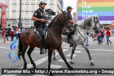 Reparto a cavallo
España - Spagna
Cuerpo Nacional de Policìa
