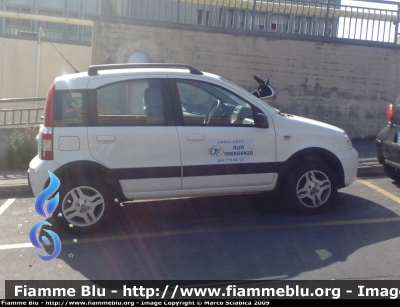 Fiat Nuova Panda Climbing
Ambulanze Alfa Emergenza
Autovettura di Servizio
Parole chiave: Fiat_Nuova_Panda_Alfa_Emergenza