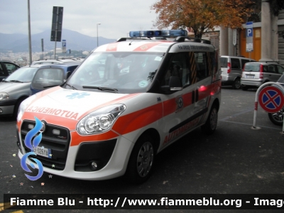 Fiat Doblò III serie
Pubblica Assistenza Croce Oro Genova Sampierdarena
automedica allestita AVS
Parole chiave: Fiat Doblò_IIIserie Automedica