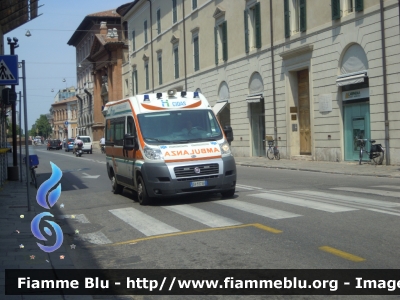 Fiat Ducato X250
CIDAS Ferrara
Allestimento Aricar
Ambulanza in convenzione con 
118 Ferrara Soccorso
Parole chiave: Fiat Ducato_X250 Ambulanza