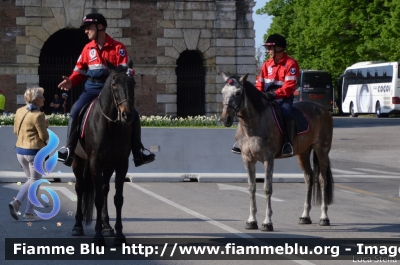 Cavalli
Associazione Nazionale Carabinieri
Protezione Civile
Colonna Mobile Nazionale
