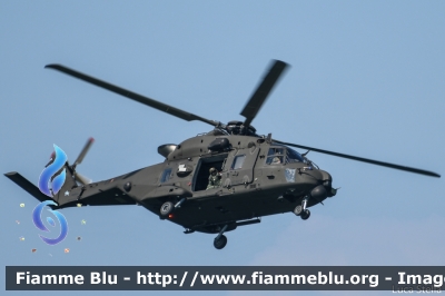 NHI NH-90 TTH
Esercito Italiano
7º Reggimento AVES "Vega"
EI 229
Parole chiave: NHI NH-90_TTH EI229 Air_show_2019 / Valore_Tricolore_2019
