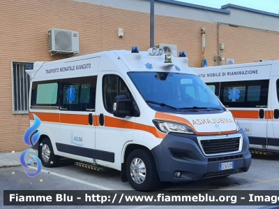 Peugeot Boxer IV serie
ASL Bari
Trasporto Neonatale Avanzato
Parole chiave: Peugeot Boxer_IV serie_ambulanza