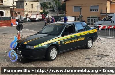 Alfa Romeo 155 II serie
ANPANA
Guardie Ecozoofile
Parole chiave: Alfa-Romeo 155_IIserie
