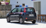 Carabinieri_Fiat_Nuova_Panda_4x4_II_serie_II_fornitura_CC_DQ_546_1.JPG