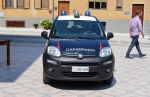 Carabinieri_Fiat_Nuova_Panda_4x4_II_serie_II_fornitura_CC_DQ_546_4.JPG