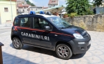 Carabinieri_Fiat_Nuova_Panda_4x4_II_serie_II_fornitura_CC_DQ_546_5.JPG