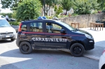 Carabinieri_Forestali_Fiat_Nuova_Panda_4x4_II_serie_CC_DU_070_1.JPG