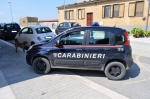 Carabinieri_Forestali_Fiat_Nuova_Panda_4x4_II_serie_CC_DU_070_3.JPG