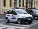 Fiat_Panda_Associazione_Nazionale_Carabinieri_Sezione_di_Livorno.JPG