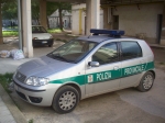 Fiat_Punto_Polizia_Pronvinciale_Bari_2.jpg