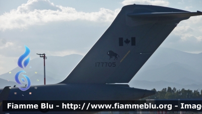 Boeing CC-177 Globemaster III
Canada
Canadian Armed Forces - Forces armées canadiennes 
429 Transport Squadron "Bisons"
