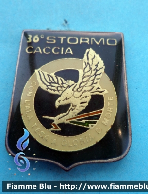 Spilla
Areonautica Militare Italiana
36° Stormo Caccia
